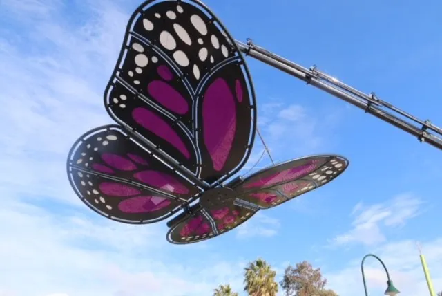 Bendigo Butterfly Playground Feature and Sun shades